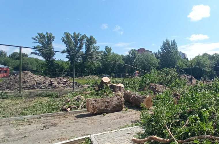 Саратовские чиновники вновь вырубают деревья в Детском парке под видом озеленения