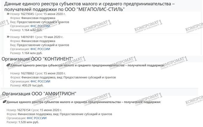 На кого записан бизнес депутата Госдумы Сергея Чижова и почему эти фирмы регулярно банкротятся